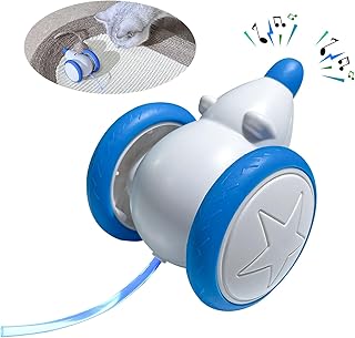 Cat Toys for Indoor Cats,Interactive Cat Toy,USB Rechargeable,Automatic Cat Toys with LED Lights,Rampaging Mice to Stimulate The Cat's Hunting Instincts,jouet Pour Chat to Pass The Cat's Time.