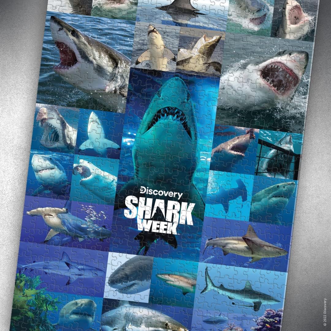 Shark Week “Shiver of Sharks” 1000 Piece Jigsaw Puzzle | Collectible Puzzle Artwork Featuring Great White Shark | Officially-Licensed Discovery Channel Shark Week Puzzle & Merchandise