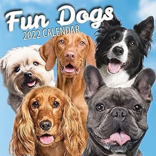 corgi desk accessories