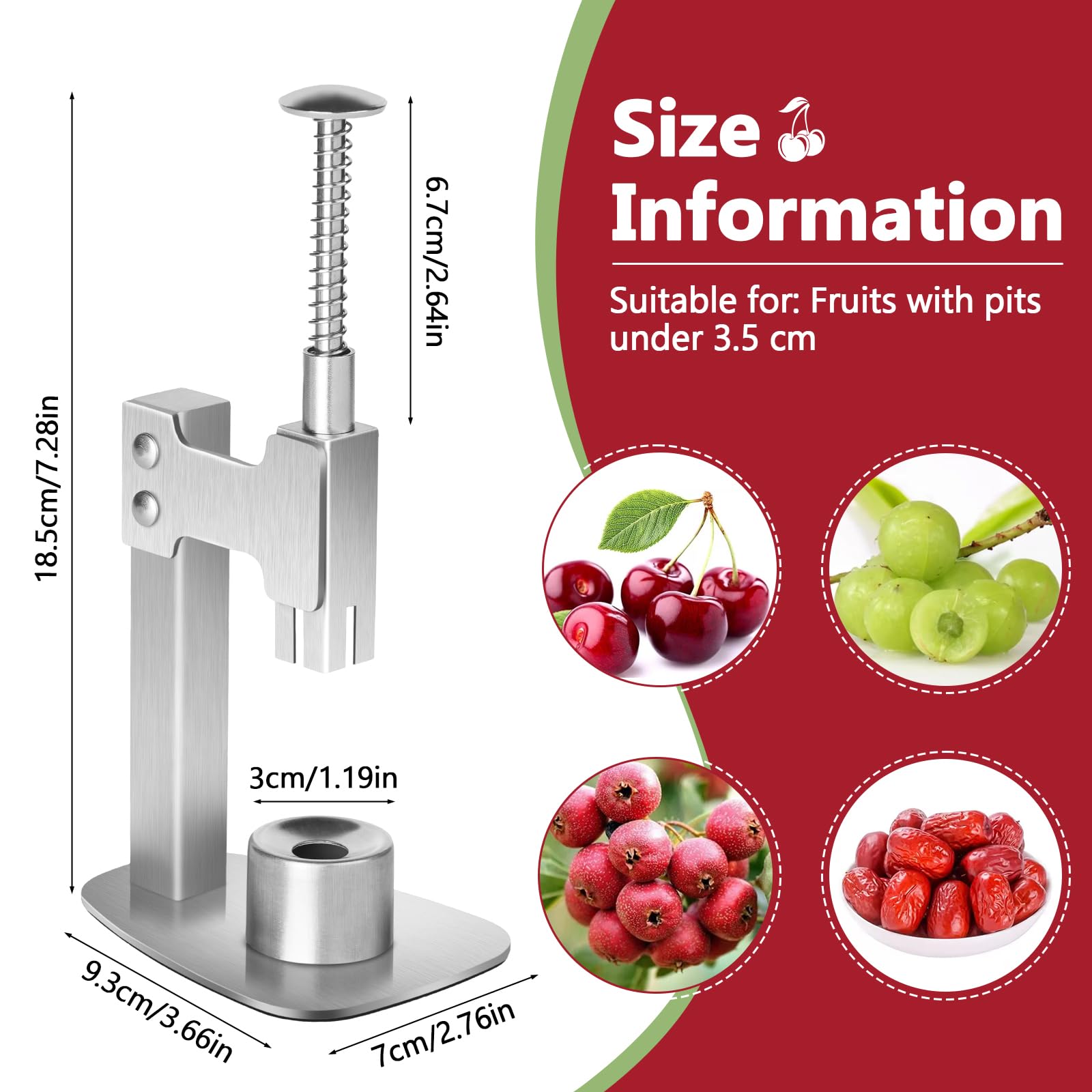 Multitools Stainless Steel Pitter, Olive Pitter Tool Portable Fruit Corer Remover for Cherries, Red Dates, Hawthorn, Grape, Jujube, Easy to Use