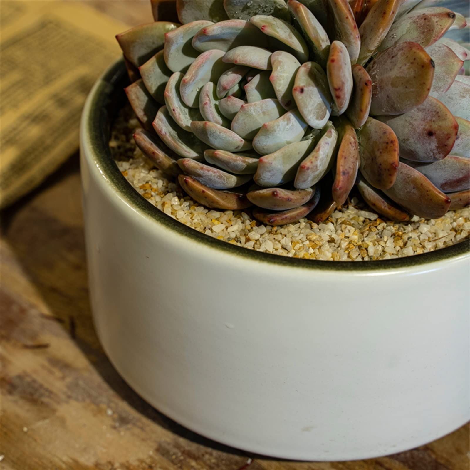 Doniczka na rośliny doniczkowe, doniczka na sukulenty, biała mini doniczka ceramiczna 4,3 cala, porcelanowa doniczka cylindryczna z otworem drenażowym