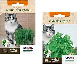 Kit 2 SACHÊS De Sementes De Grama E Erva Dos Gatos Catnip 1000 sementes de cada