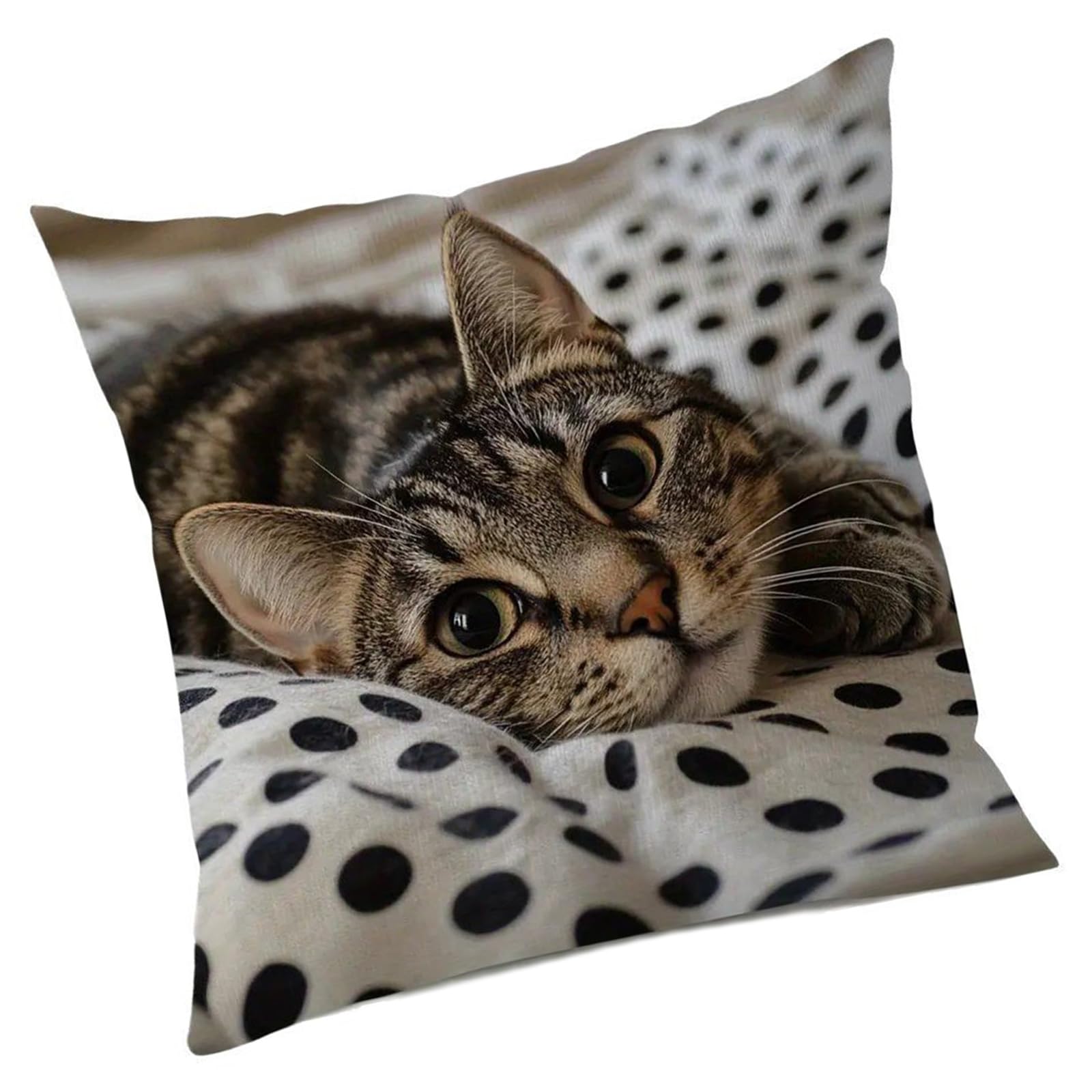 YROHGKPN Realistic Effect Cats Pattern Pillow Cover Soft Fabric Decorative Square Cushion Pillowcase for Sofa Bed Home Decors Cats Pillow