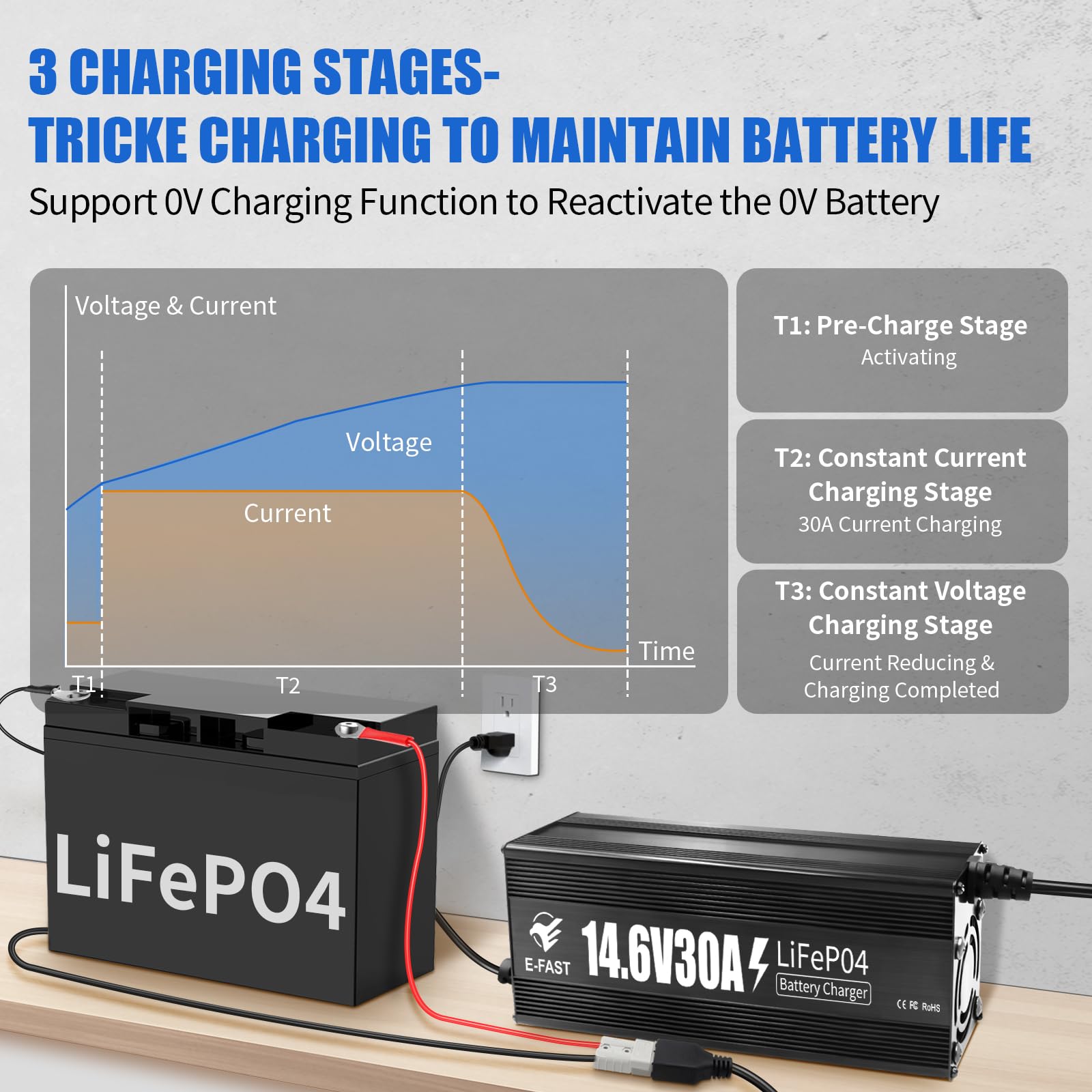 Caricabatteria al litio da 12 V 30 A 14,6 V LiFePO4 Caricabatterie intelligente con indicatore connettore Anderson speciale per batterie ricaricabili al litio LiFePO4 a ciclo profondo di barca, camper