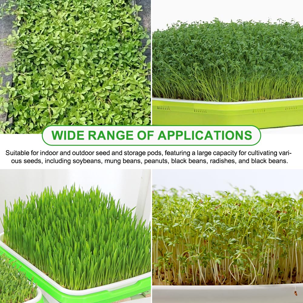6 Piezas Bandeja de Germinación de Semillas 32.5x24.5x4.5cm Bandejas para Germinar Brotes Germinador Semillas de PláStico para Cultivo de Frijoles Mungo Alfalfa y Hierba de Trigo