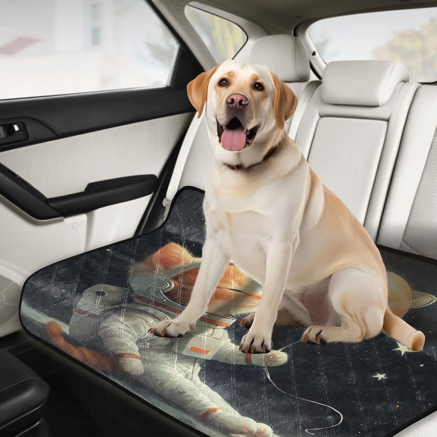 Cat Astronaut Moon Pet Mat Reusable Feeding Mats for Food and Water Non-Slip Pee Pads for Dogs Cats 2 Packs