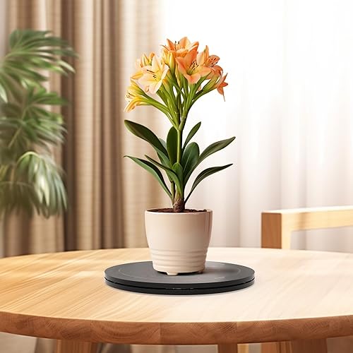 Miniatura 5 de Lazy Susan - Organizador giratorio con alfombrilla antideslizante para gabinete, despensa, cocina, encimera, refrigerador, oficina, madera de pino,