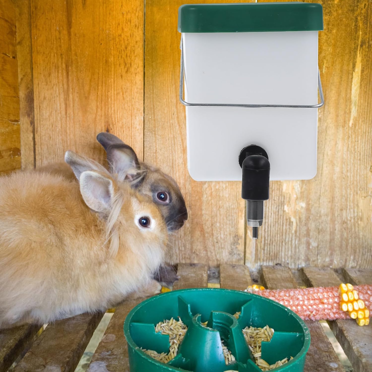 Mipcase 2pcs Bunny Water Fountain Rabbit Drinking Bottle Rabbit Water Box Automatic Water Dispenser No Leak Water Feeder for Bunny Chinchilla Guinea Pig Hedgehog Ferret