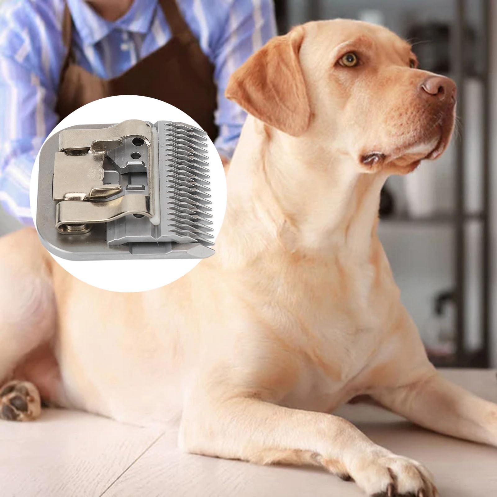 Cuchillas para Cortar Perros Cortantes, Talla 7f 3.2 Mm, Acero Carbonizado Desmontaje de Dientes Profundos para Mascotas Cuchillas de Aseo, para Preparación para Perros