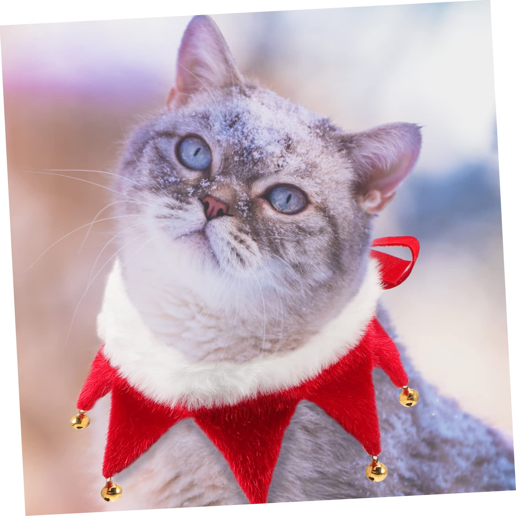 COLLBATH Collier De pour Animaux avec Clochettes Accessoire pour Chiens Et Écharpe Décorative De Fête Détail Lumineux pour Célébrations De