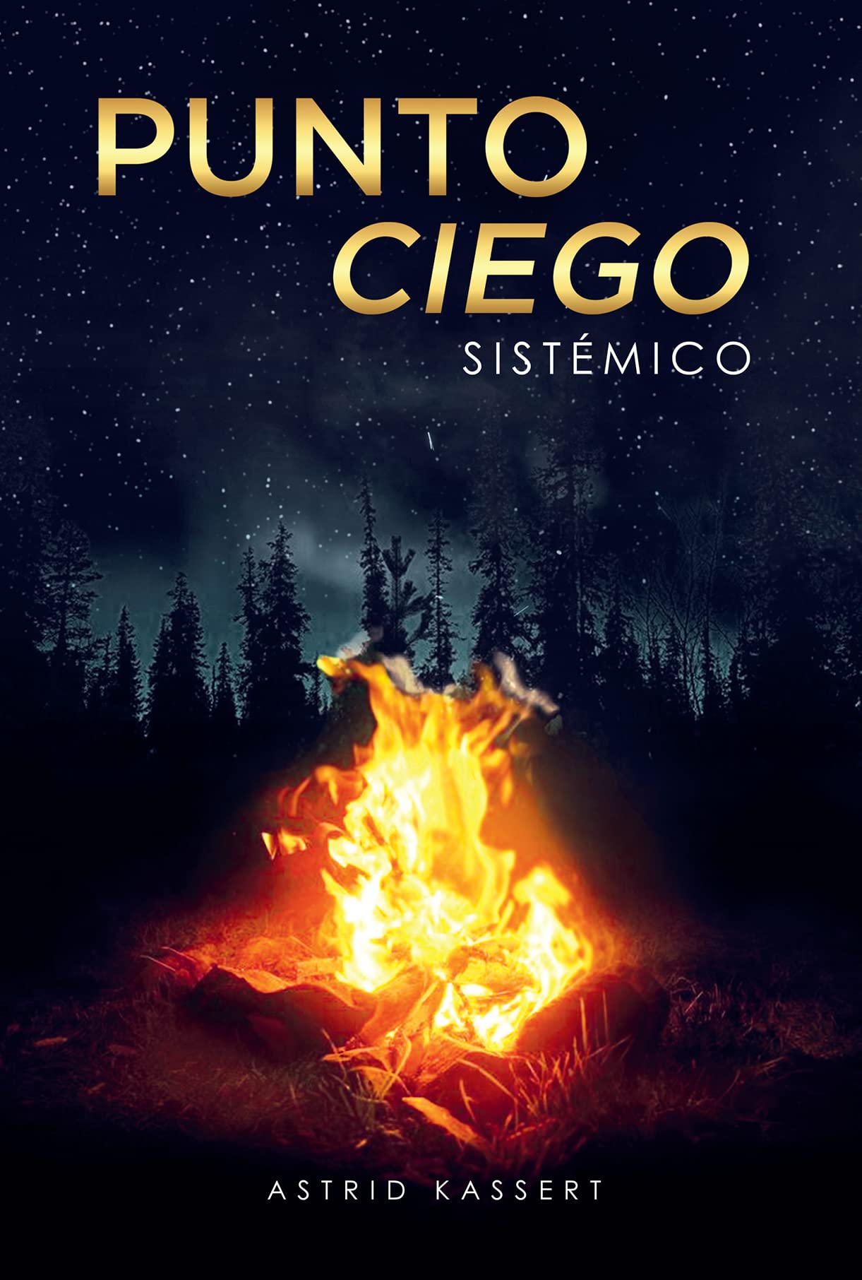 Punto Ciego Sistémico (Spanish Edition)
