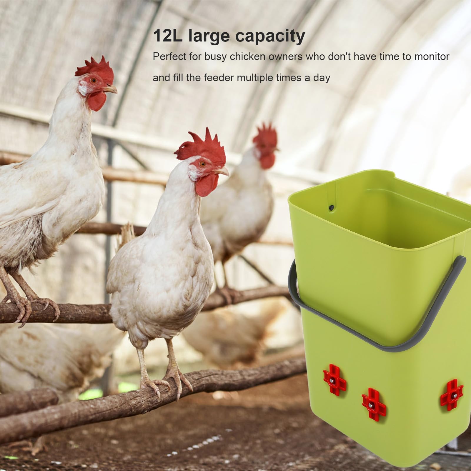 Abbeveratoio per Pollo con 4 ugelli, Abbeveratoio Automatico per Capezzoli per Pollame da 12 Litri, Abbeveratoio Automatico per Pollame in plastica per l'alimentazione del