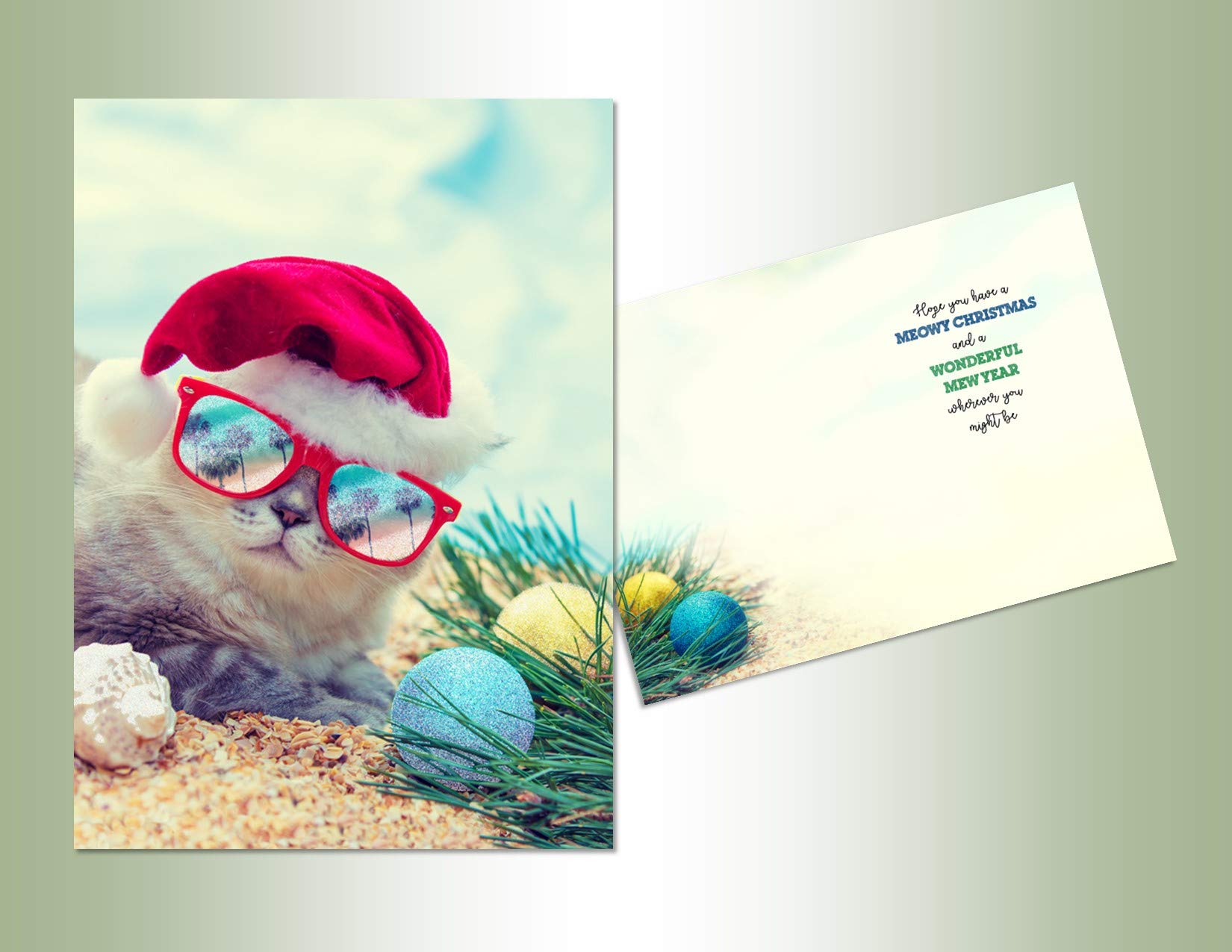 Performing Arts Luxury Funny Cat Holiday Cards with Non-Flake Glitter - Boxed set of 14 Xmas Greeting Cards with Envelopes - Santa Hat Cat design for