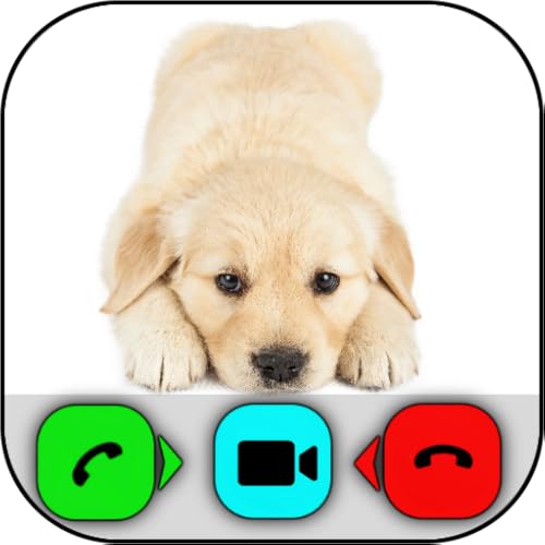 Cute Puppy Call Prank