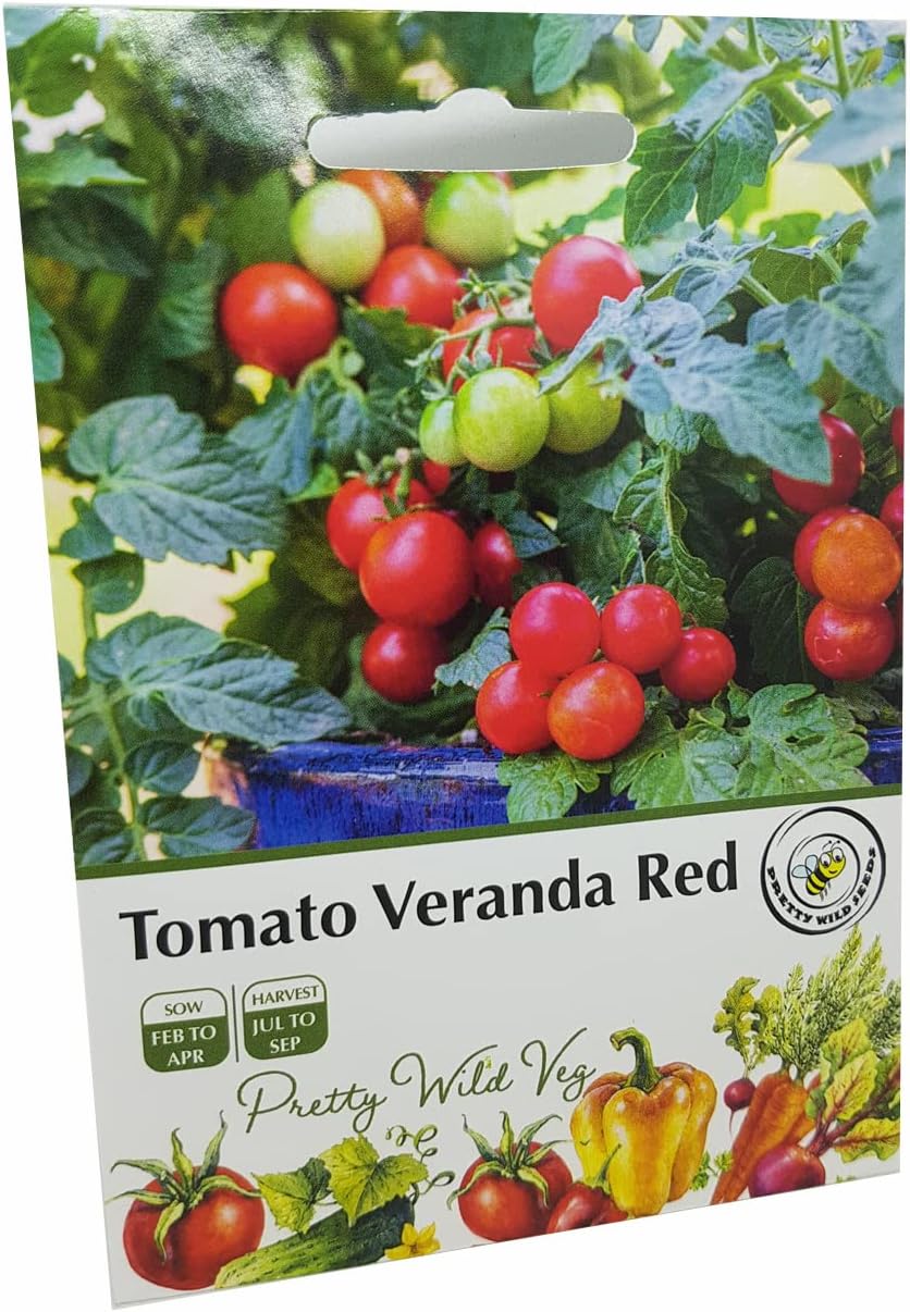 Veranda Red F1 Dwarf Tomato Seeds in Pictorial Packet from UK Seller