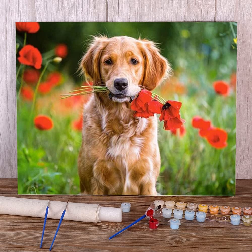Zdklfm69 Paint by Numbers Painting by Numbers Paint by Number Animal Dog Kit Acrylic Paints Canvas Pictures Wall Paintings For Adults Handicraft (No frame) 40x50cm