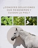 Ver la foto 4