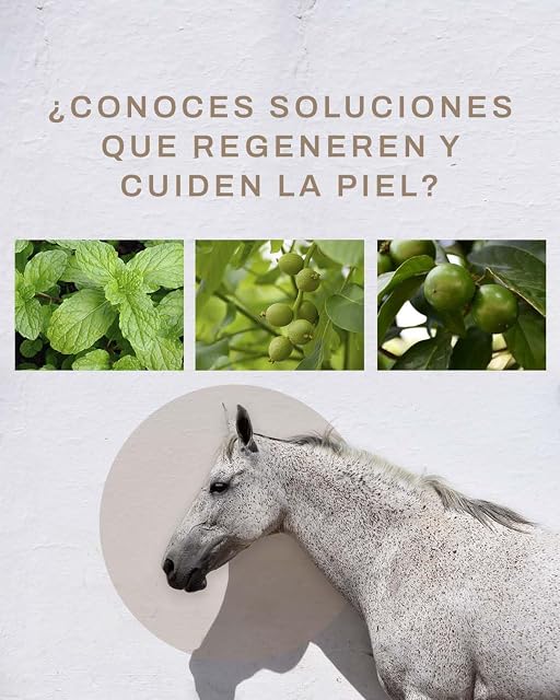 Foto 4 de 8 de Crema Regenerante Antipicor para Caballos