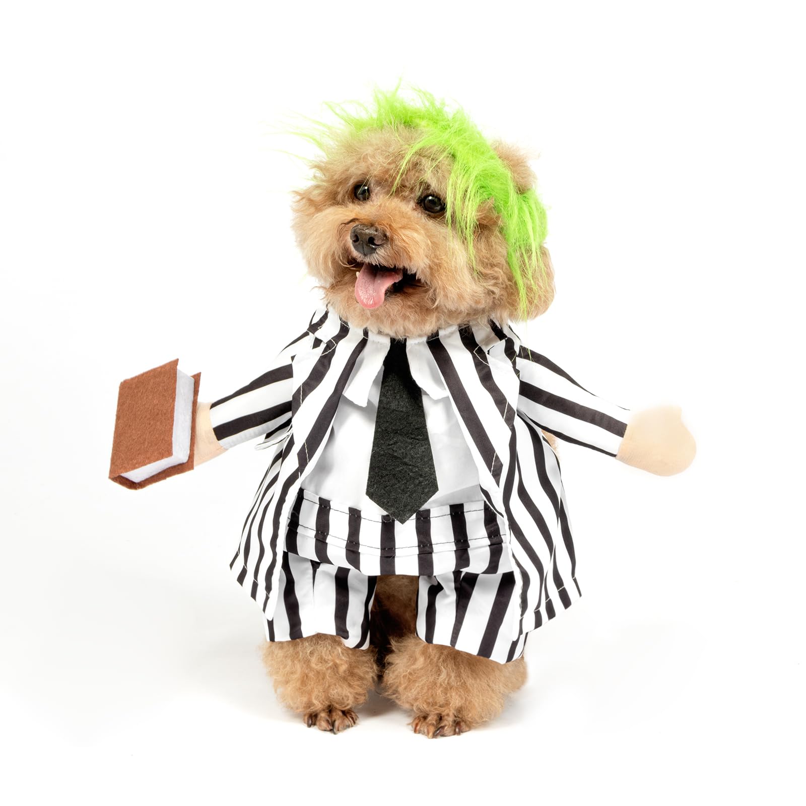 Costume d'Halloween pour chien avec sangles réglables | Vêtement de costumade confortable S