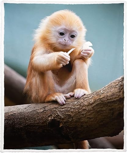 XSMEI Manta Sherpa de mono dorado, manta de forro polar con estampado animal para sofá cama, súper suave, cálida y ligera, 50 x 60 pulgadas