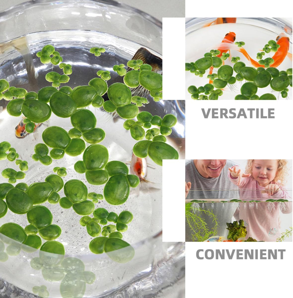 PRETYZOOM 6 Pack Artificial Floating Duckweed with Roots Miniature Plastic Aquarium Plants for Fish Tank Decor Pond Scenery Aquatic Ornament Landscape Decoration