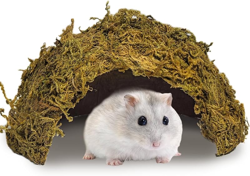 Hamster Hideout House,Natural Mossy Coconut Hut Hides Hideaway | Pet Hiding House, Small Animal Cage Accessories for Mouse Mice Rat Gerbil Reptiles