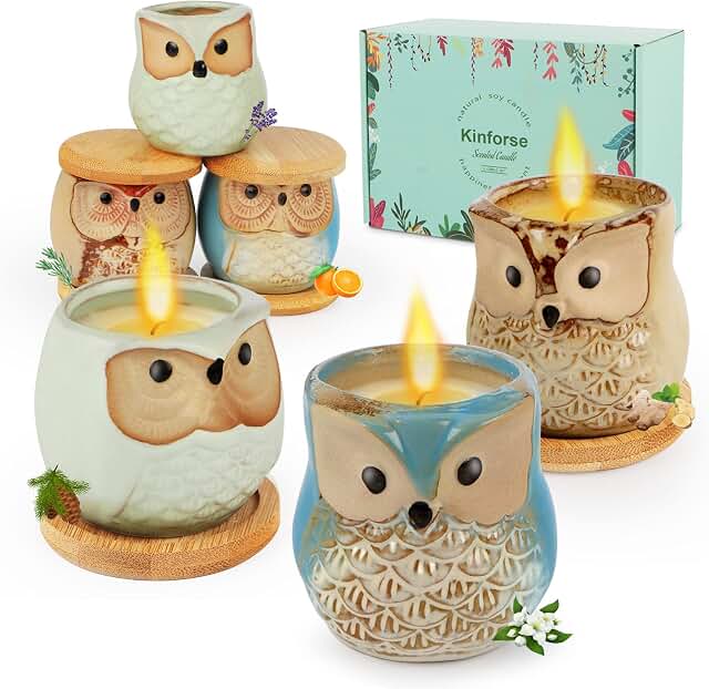 Luxury Scented Candle Gift Set for Women - 6-Piece Whimsical Owl-Themed ...