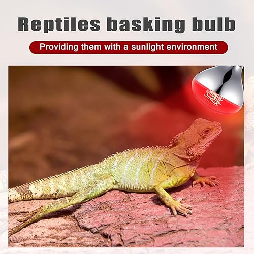 Miniatura 10 de VIHOSE Paquete de 2 lámparas de calor de 120 V 250 vatios R40, bombillas incandescentes de vidrio transparente, bombillas de calefacción