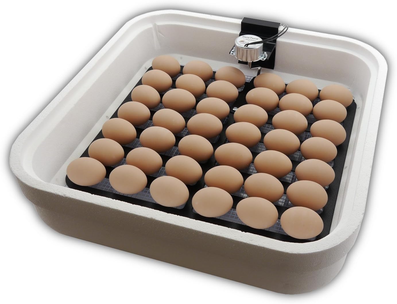 HovaBator Advanced Egg Incubator Combo Kit: Includes Incubator, Fan kit, Egg Turner, Digital Thermometer/Hygrometer
