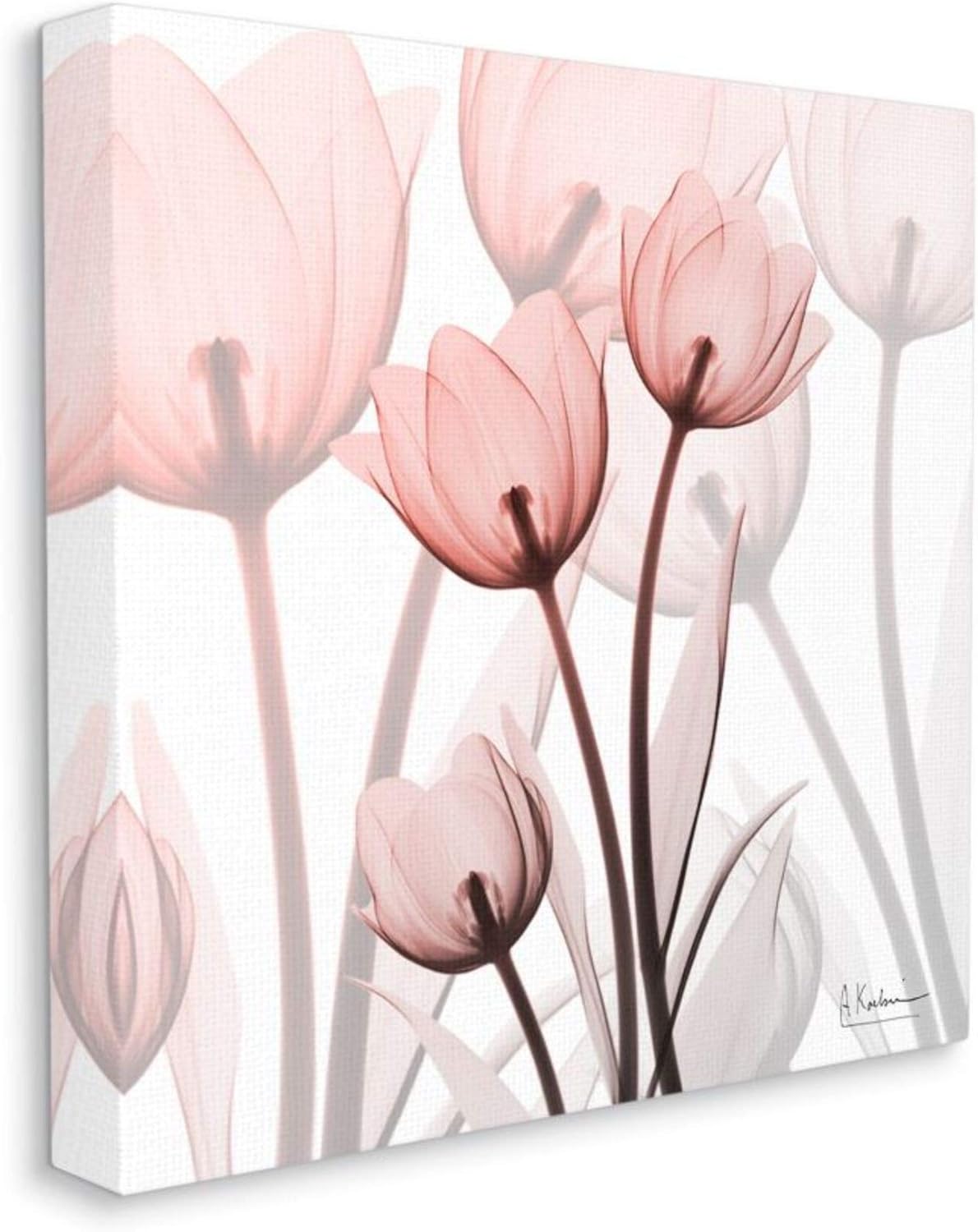 Stupell Industries Red Silhouettes Modern Floral Photograph Canvas Albert Koetsier Wall Art, 36 x 36