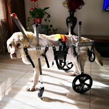 CMYUN Small Medium Large Dog Wheelchairs, All Dog Breed 4 Wheels Full Support Assist, Adjustable Disabled Leg Braces Wheel Chair, Pet Mobility AidSize M