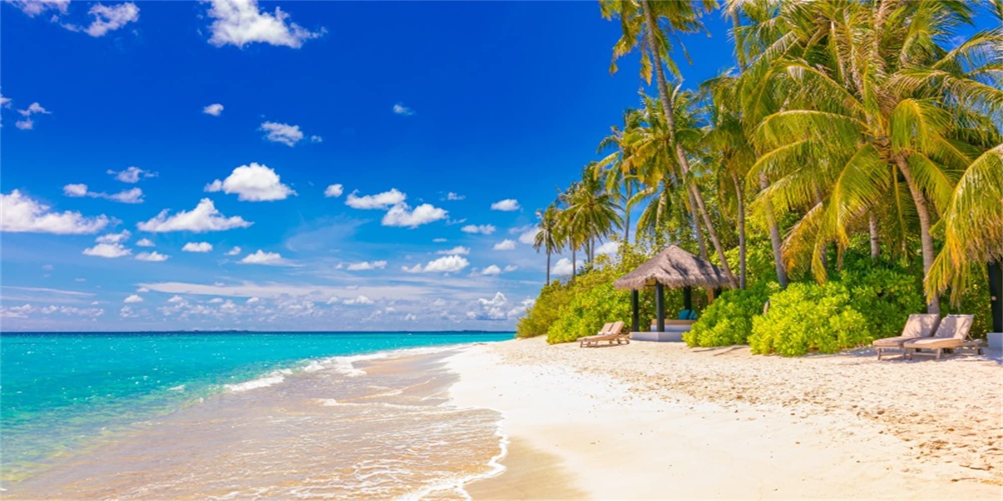 MIRRORANG 91x41cm Tropical Aquarium Background Blue Sky Sea Palm Trees Fish Tank Background โ image 1