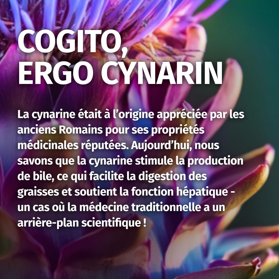 Green Naturals® Extrait d'artichaut - IMPORTANT: Extrait 40:1 (=104.000mg d'artichaut) avec 260mg de cynarine - 240 gélules