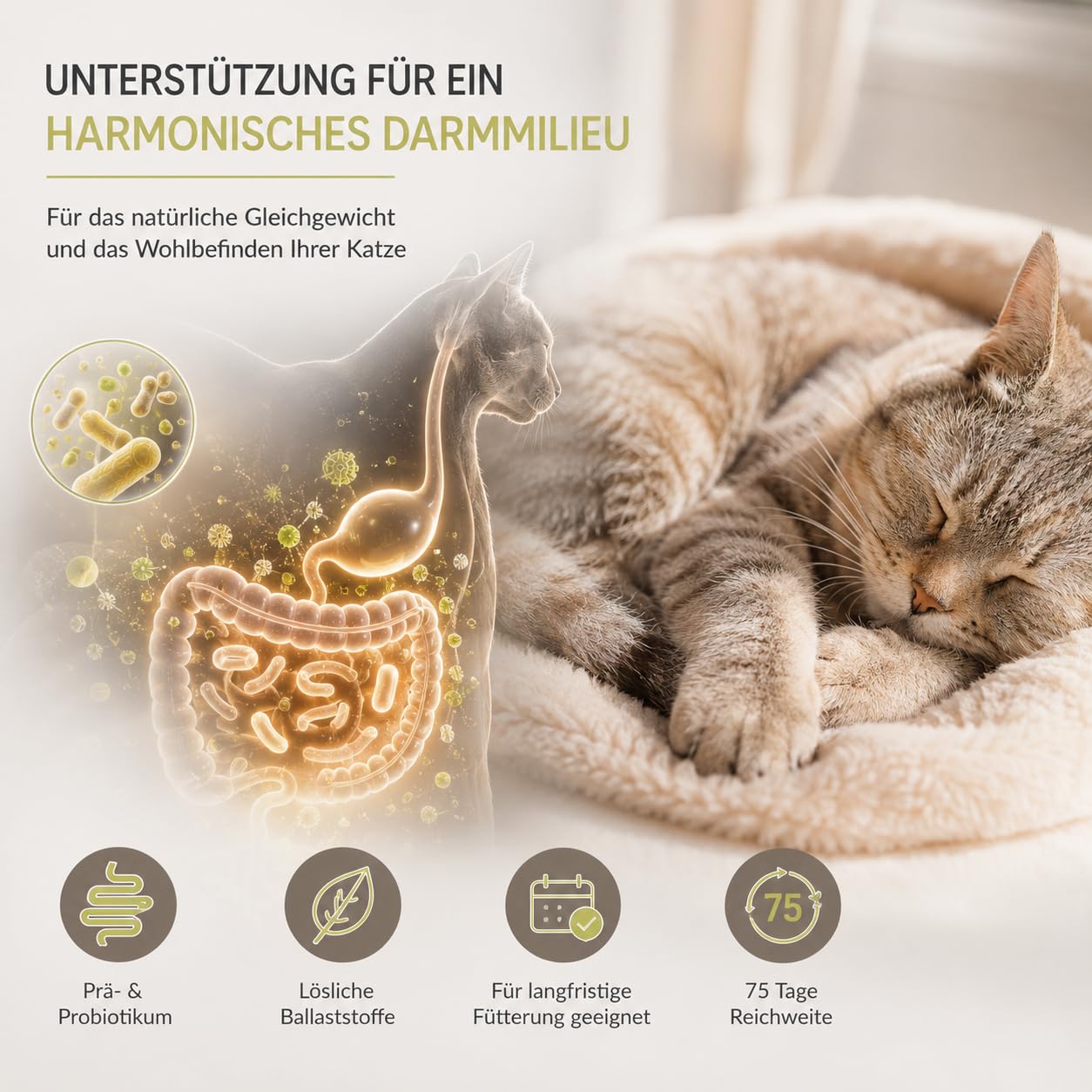 Probiotic Vital Katze - Probiotika & Präbiotika Pulver für Katzen 75g – Unterstützt die Normale Verdauung – Nur 1 Bakterienstamm & Ballaststoffe - Mit Tierärzten in Deutschland entwickelt