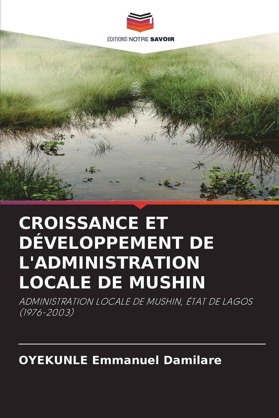 Croissance Et Développement de l'Administration Locale de Mushin: ADMINISTRATION LOCALE DE MUSHIN, ÉTAT DE LAGOS (1976-2003)