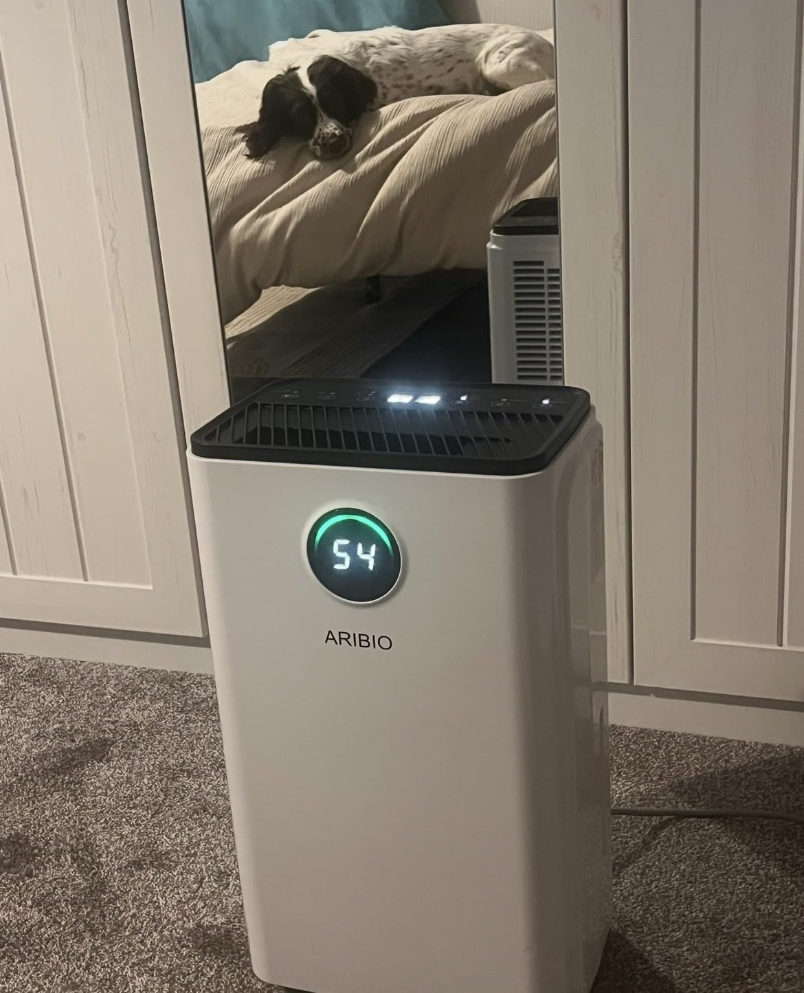 Customer photo