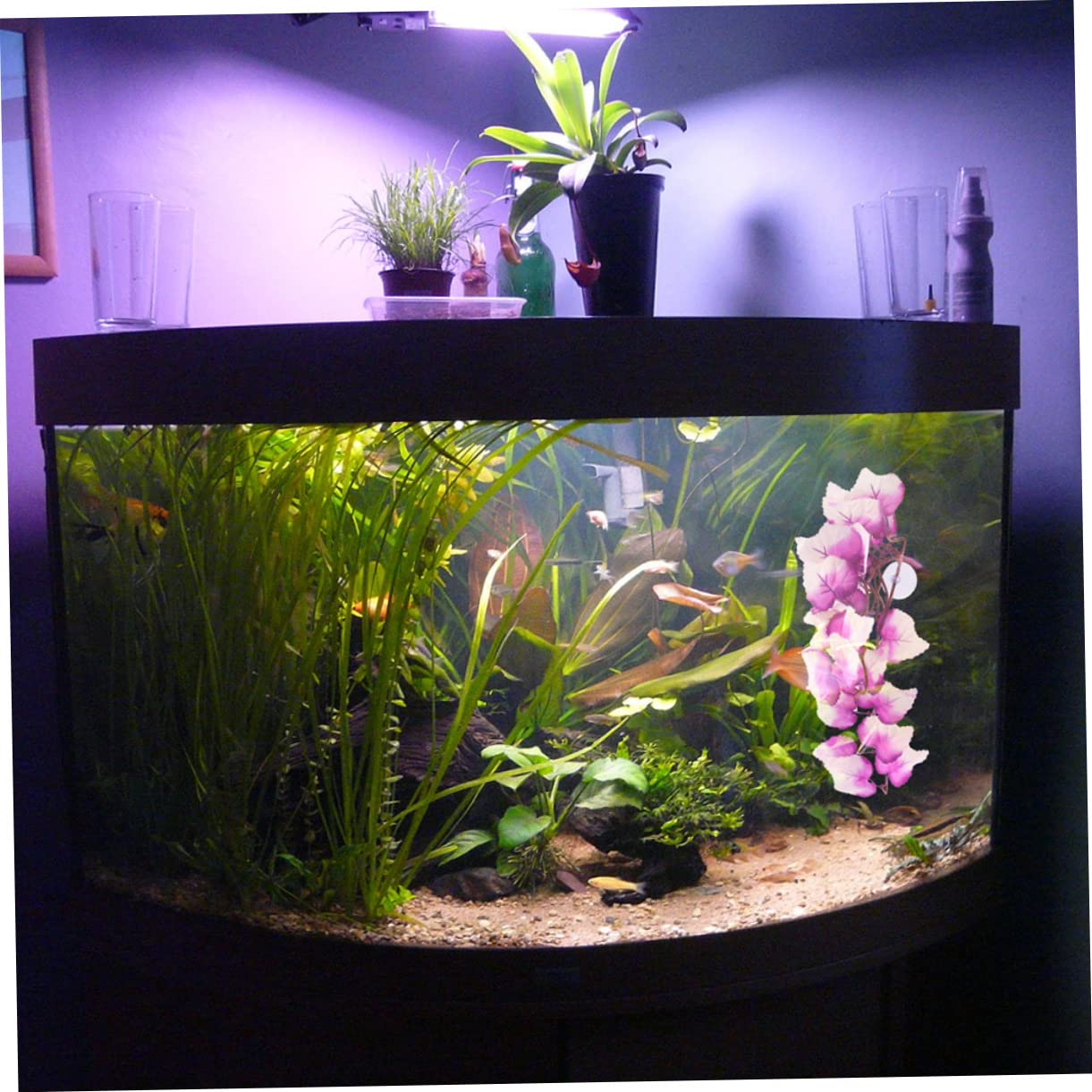 BESPORTBLE 5 Set Rattan Paesaggistico Per Animali Domestici Accessori Per Rettili Pianta Dell'habitat Dei Rettili Piante Di Seta Dell'acquario Vivido Arredamento Rettile Plastica 2 Pezzi * 5