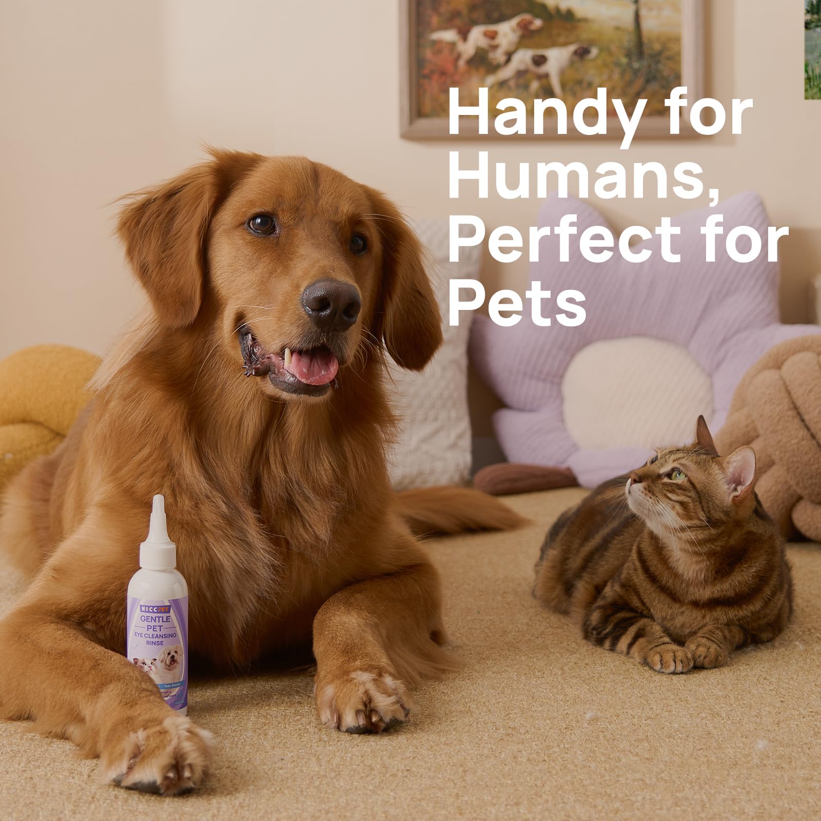 HICC PET Eye Area Cleansing Liquid for Dogs & Cats — Amazon image 9
