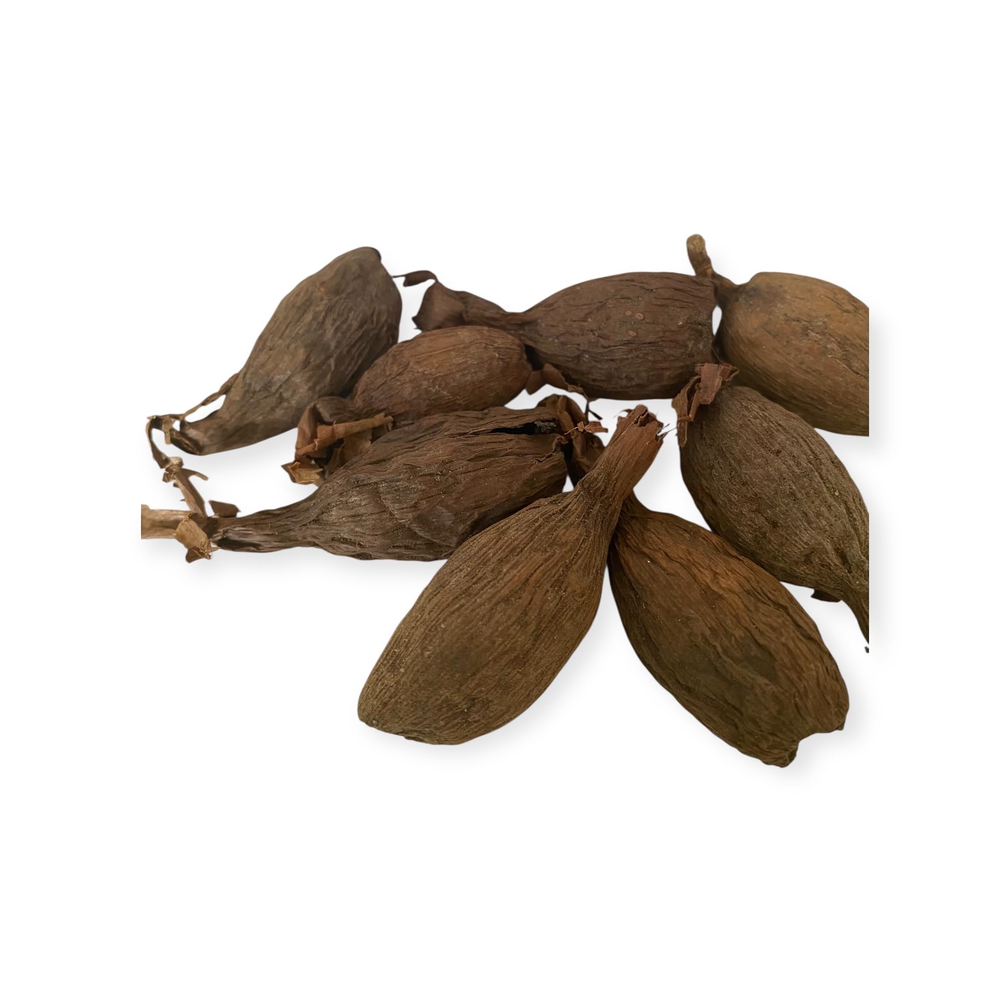 RMY Manigueta entera vaina de guinea de chile pimiento de cocodrilo 6 PCS