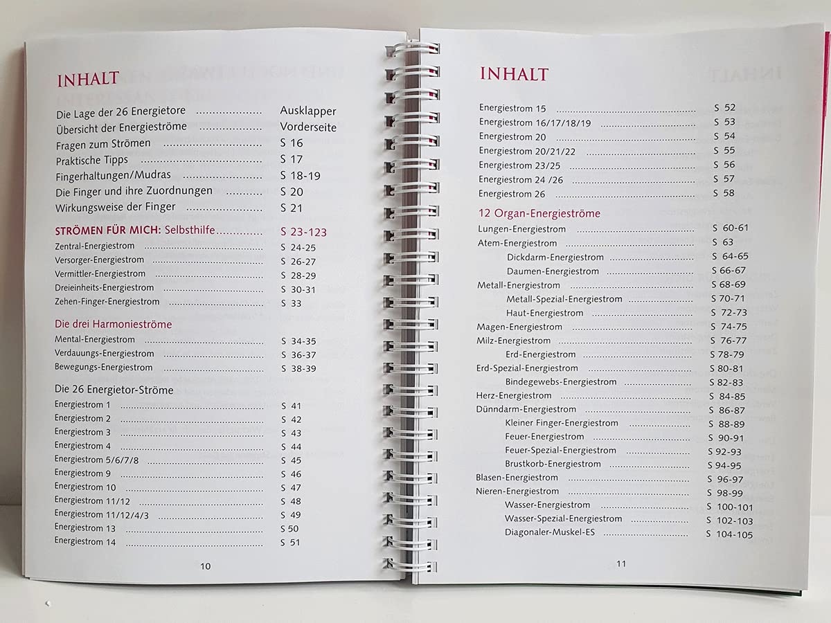 Energie-Strömen für mich & dich [DIN A 5]: Das große Praxisbuch des Strömens - Alle Ström-Rezepte von Jiro Murai nach praktischen und ergonomischen Kriterien weiterentwickelt.
