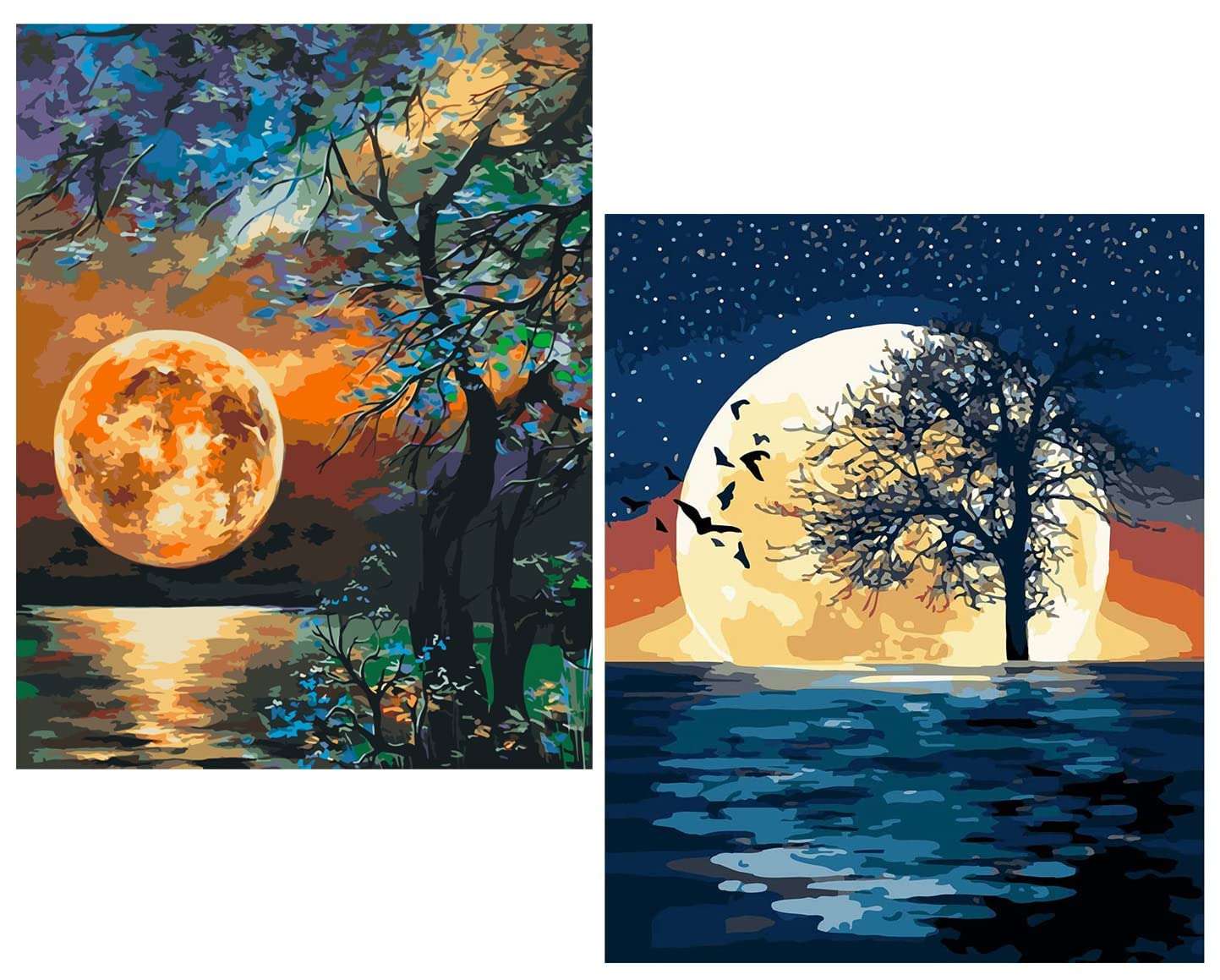 Kit Pintura Por Números WISKALON Luna - Lienzo 16x20 Pulgadas, Con Pinceles Y Pinturas, Para Adultos Y Principiantes