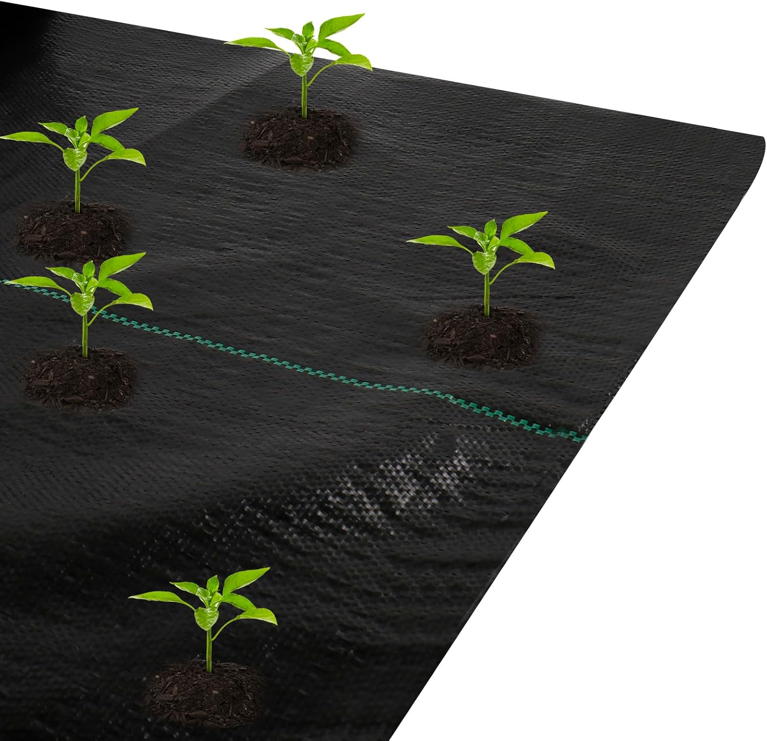 Rungao 2m x 10m Heavy Duty Weed Membrane Control, 90gsm Heavy Duty