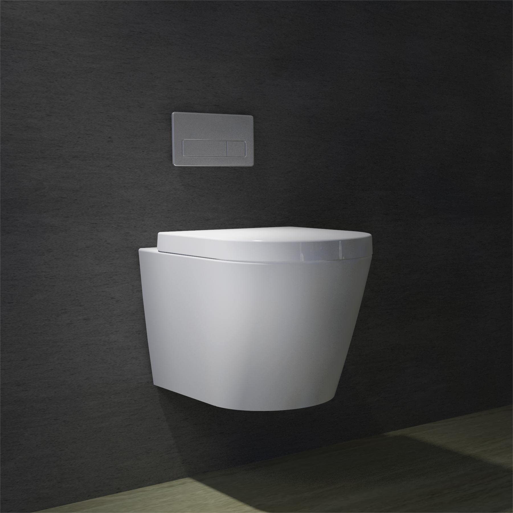 Biubiubath Rimless Wall Hung Toilet & Soft Close Seat Modern Bathroom White Ceramic WC Pan