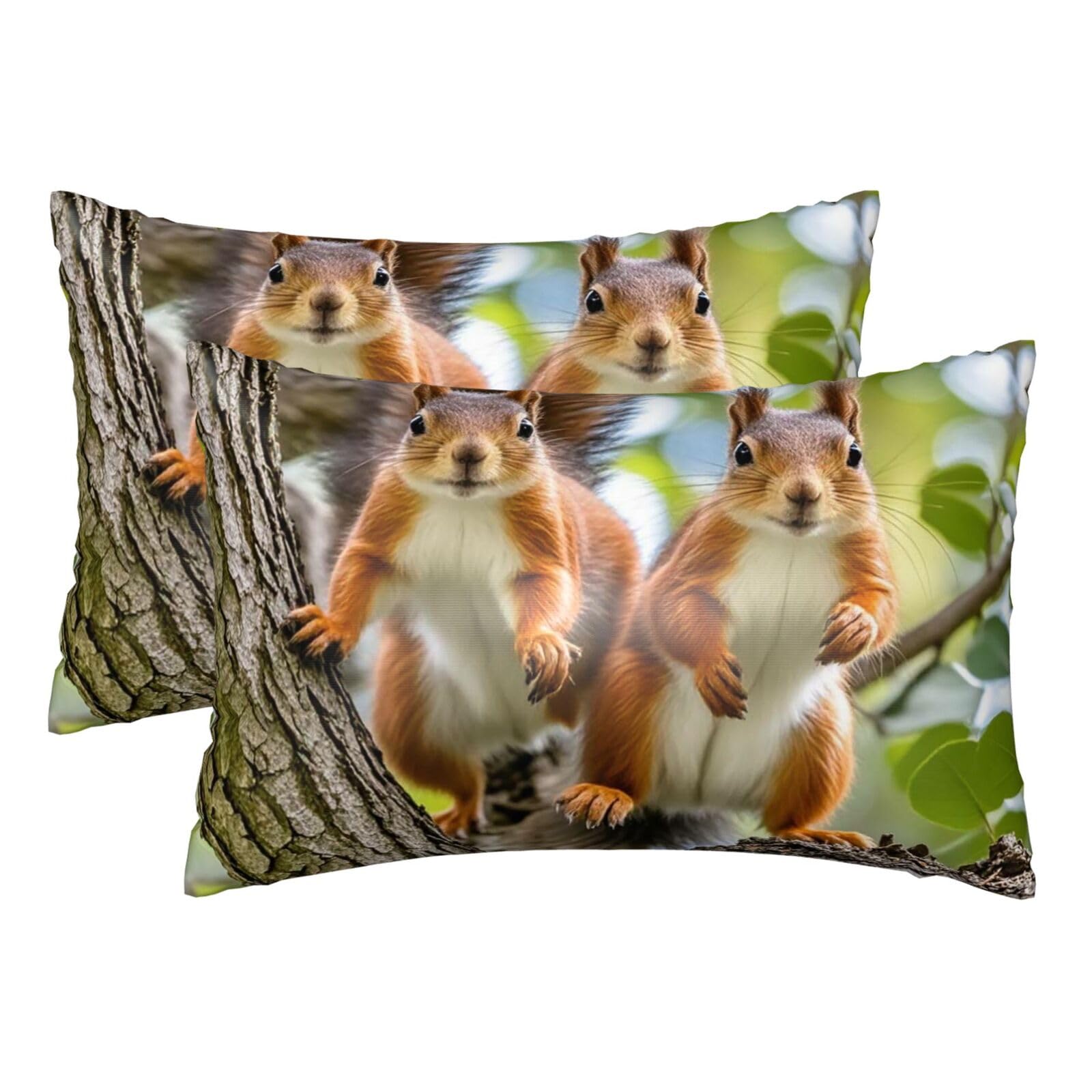Silk Pillowcases Set of 2 Pillow Shams Breathable Soft Pillow Covers with Envelope Closure Cute Squirrels Pillowcases 20x30 Inches Washed Pillow Cases for Hair and Skin