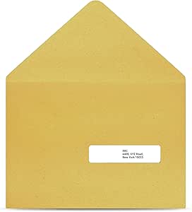 Amazon.com : Amazon Basics Address Labels for Laser Printers, 1