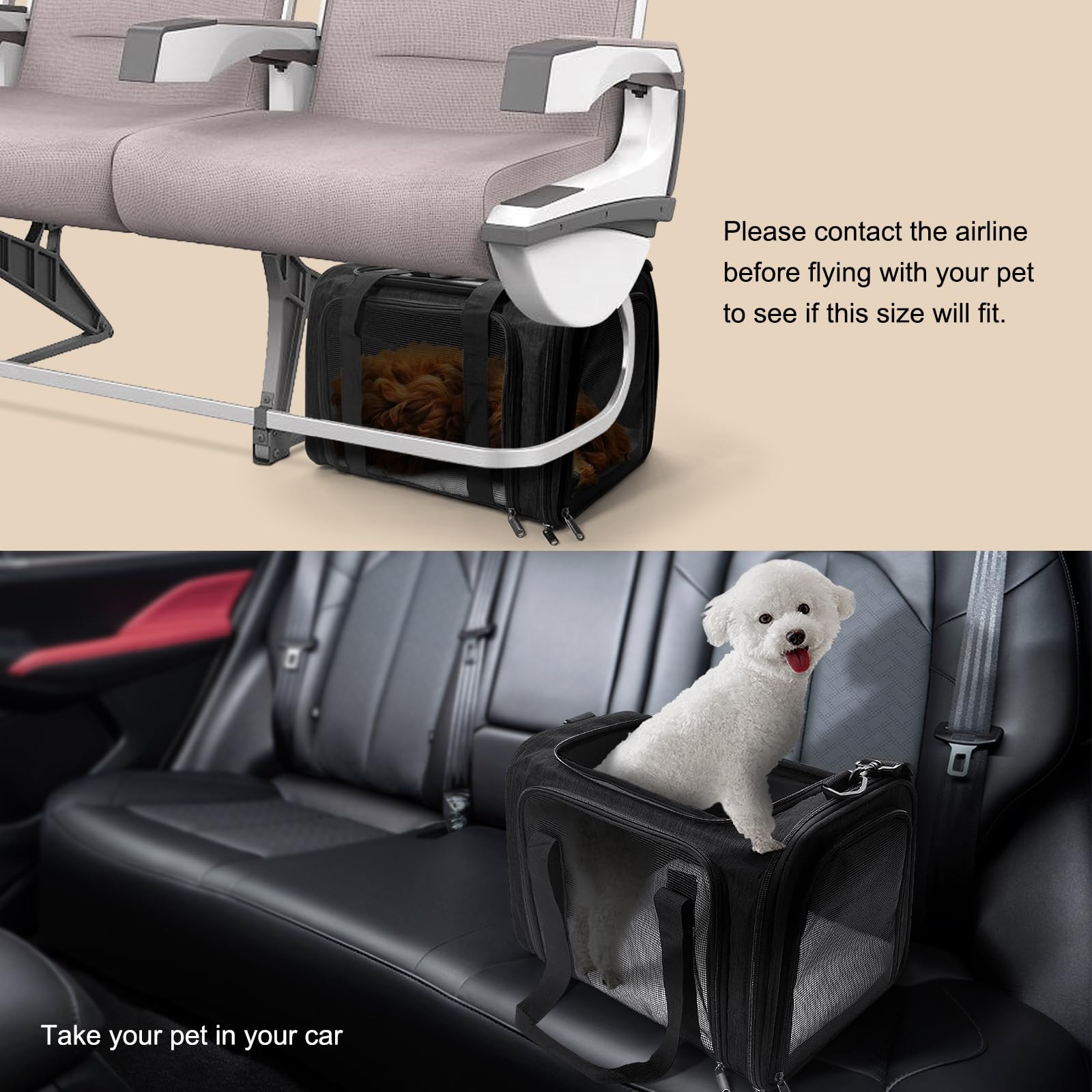 Transportbox für kleine und mittelgroße Katzen bis zu 11,3 kg