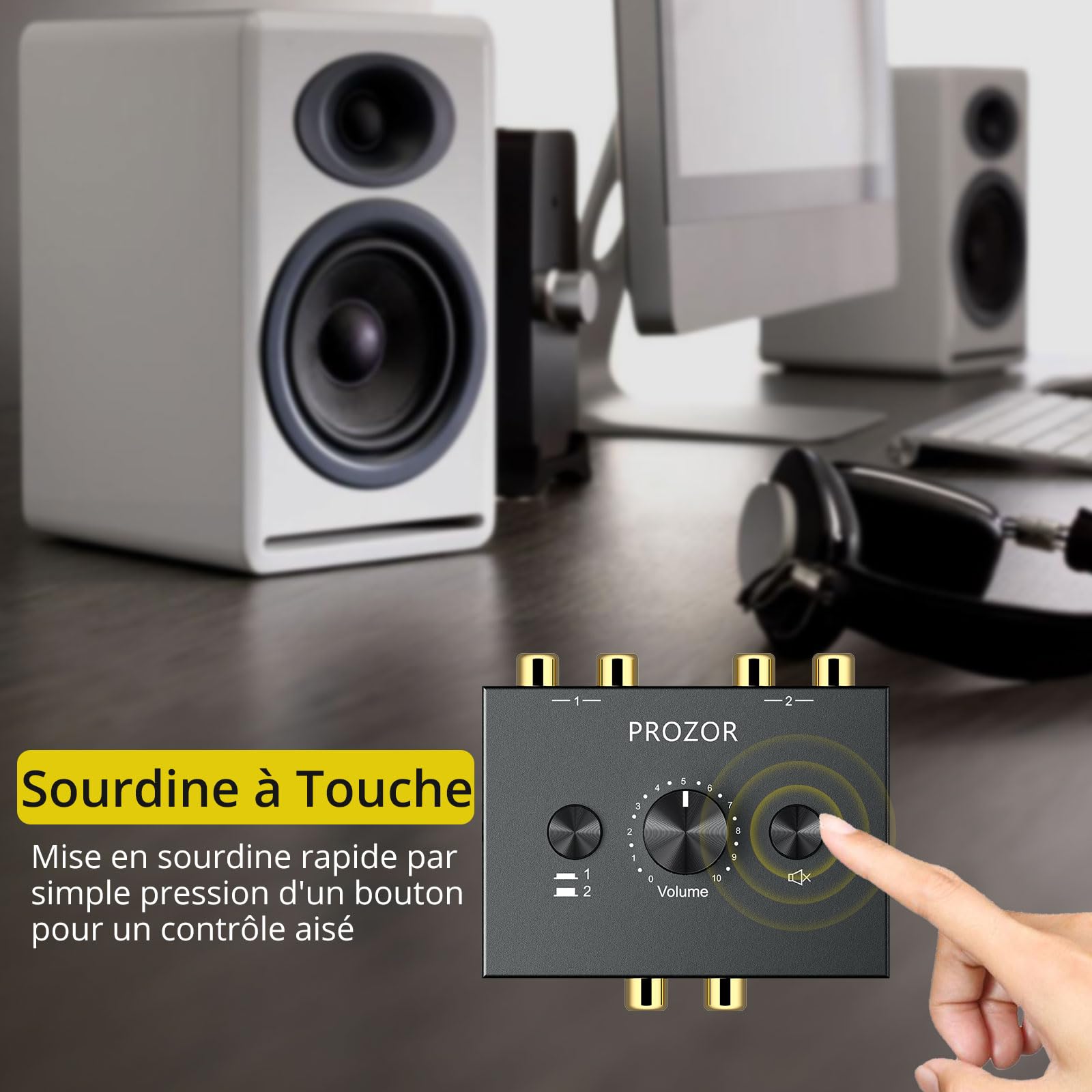 PROZOR Commutateur Audio Stéréo Bidirectionnel R/L 2-en-1/1-en-2 - Bouton Muet Volume sans Alimentation pour Home Cinéma Studio