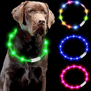Amazon | Exgox 光る首輪 犬猫用 散歩 夜 ライト USB充電式 小型犬