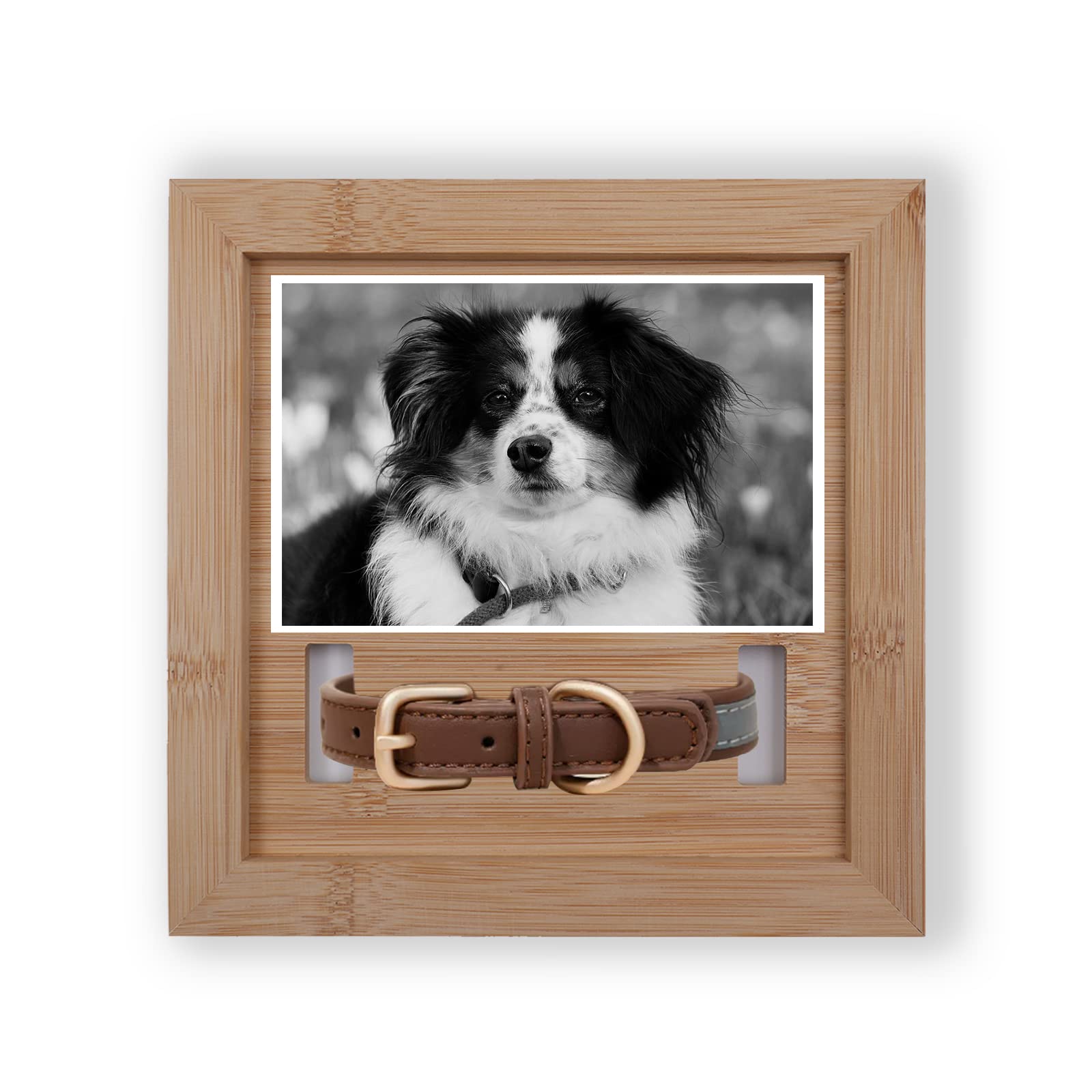 Hundehalsband-Gedenkrahmen Mit Pfotenabdruck – Beileidsgeschenk Bei Haustierverlust, 22,9x22,9 Cm