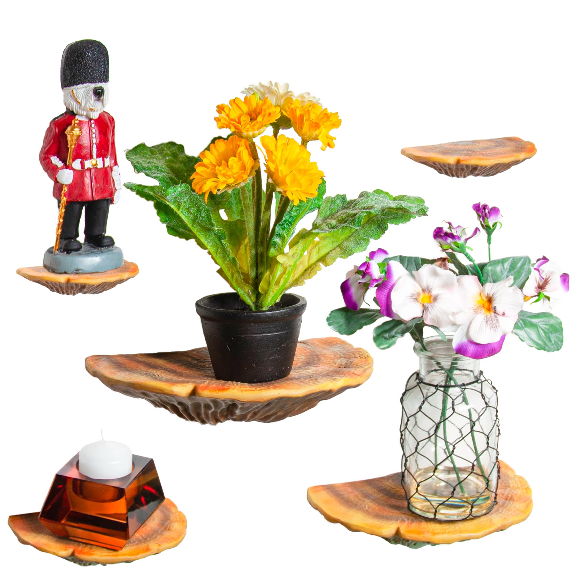 Wiosi 5-Piece Turkey Gill Mushroom Floating Shelves for Decorating Wall | Shelves for Room Wall | Perfect Floating Shelves for Room Decor | Leopard Gecko Tank Accessories